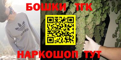 сатива Можга